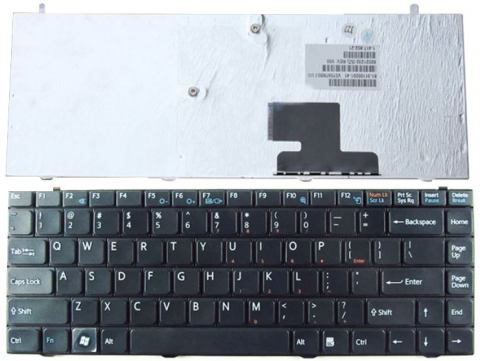 ban-phim-Keyboard-Laptop-Sony-Vgn-FZ-mau-den-mau-trang-daiphatloc.vn1